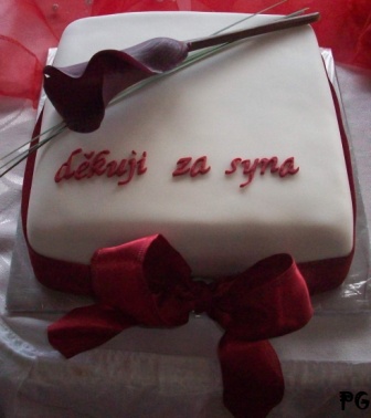 Děkuji za syna