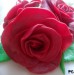detail růže1