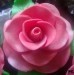 detail růže3