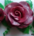 detail růže6