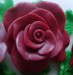detail růže4